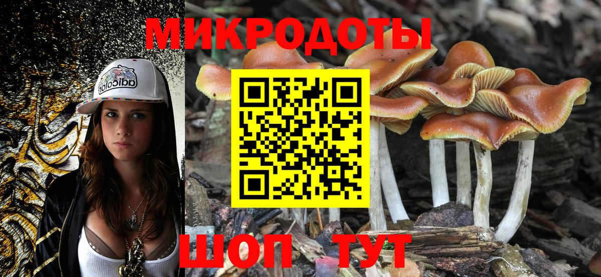 Таганрог  Галлюциногенные грибы Psilocybine cubensis  Вход с VPN 